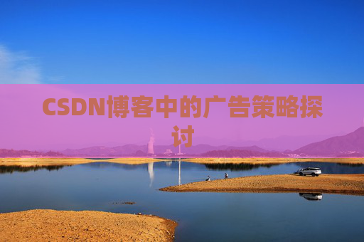 CSDN博客中的广告策略探讨